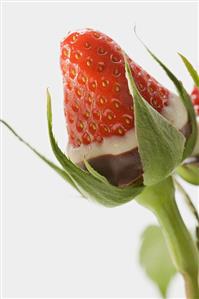 Chocolate-dipped strawberry