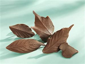 Several chocolate leaves