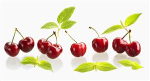 Red cherries with leaves