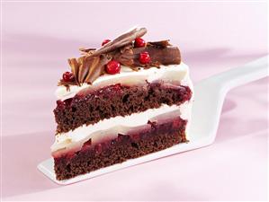 Piece of chocolate cake with pears and cranberries