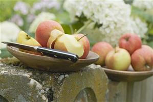 Fresh apples, one partly peeled, on a fence