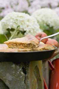 Apple pie on a stone post