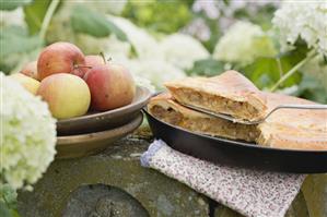 Apple pie on a stone post