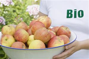 Woman holding a bowl of fresh organic apples