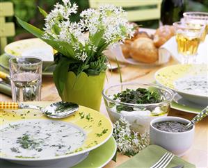 Ramsons (wild garlic) dishes: soup, quark and dip