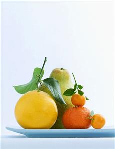 Still life with citrus fruits