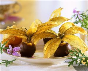 Chocolate-coated physalis