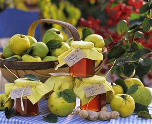 Apple quinces ('Konstantinopler'), quince jelly and ginger