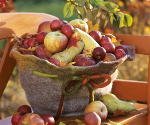 Pears and apples in a felt hat