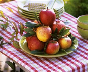 Apples on green plate decorated with bay leaves