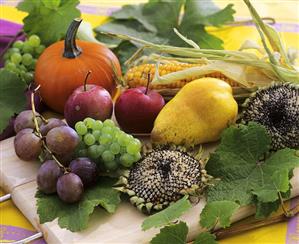 Still life with grapes, sunflowers, pear, apples & pumpkin