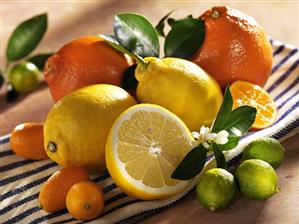 Still life with citrus fruit