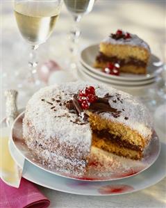 Coconut cake with chocolate filling, a piece removed