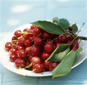 Cherries with leaves