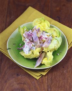 Matje herring salad with apples