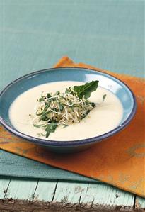 Creamed kohlrabi soup