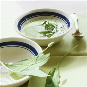 ramsons (wild garlic) soup