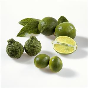 Limes (Persian limes, kafir limes and mini-limes)