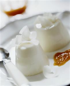 Yoghurt & coconut cream in style of blancmange, apricot puree