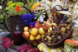 Autumn still life with sweetcorn, apples, pumpkin & flowers