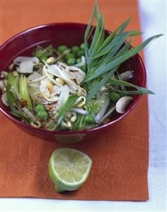 Spicy vegetable soup with mung bean sprouts