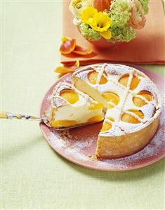 Apricot cheesecake (1)