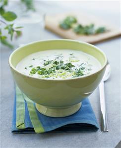 Creamy spring onion and herb soup