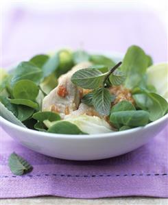 Redfish with mint and corn salad (Ayurvedic cuisine)