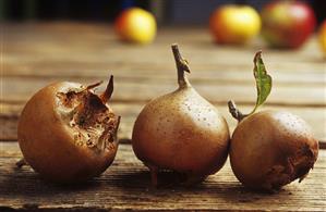 Three medlars on wooden background