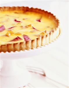 Rhubarb tart