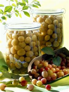 Bottled gooseberries