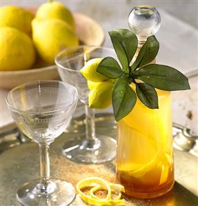 Elderflower liqueur