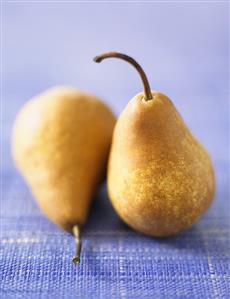 Two pears on blue background