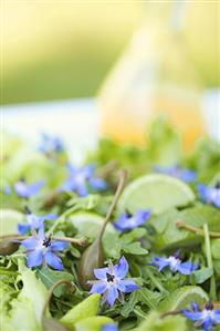 Summer salad with capers and lime