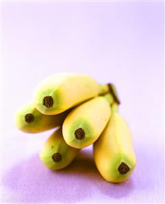 Baby bananas on purple background