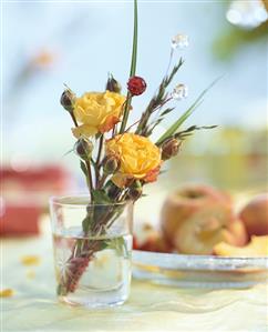 Posy of roses in a glass