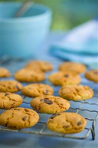 Chocolate chip biscuits on a cake rack