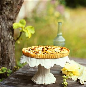 Apple and walnut tart with raisins