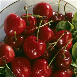 Cherries in a Bowl