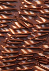 Chocolate Shavings