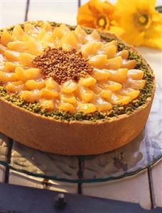 Apricot cheesecake