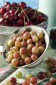 Gooseberries and cherries