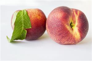 Two peaches with leaf