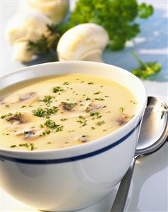 Creamed mushroom soup