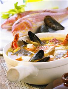 Bouillabaisse