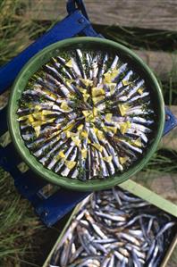 Marinated anchovies with lemon