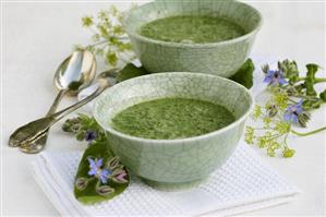 Borage soup in two bowls