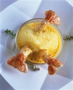 Scampi in pumpkin froth