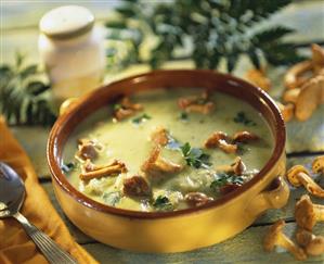 Courgette cream soup with chanterelles