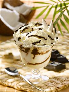 Coconut ice cream with chocolate sauce